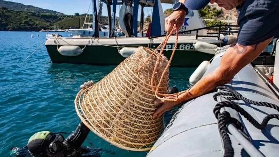 Immagine Vino marino Nesos, un prodotto unico frutto dell'unione tra tradizione e innovazione